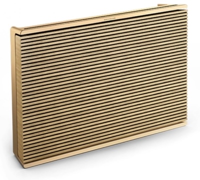 soundrating product - Bang & Olufsen Beosound Level Portable Wi-Fi portable Speaker Bang & Olufsen Beosound Level Portable Wi-Fi portable Speaker