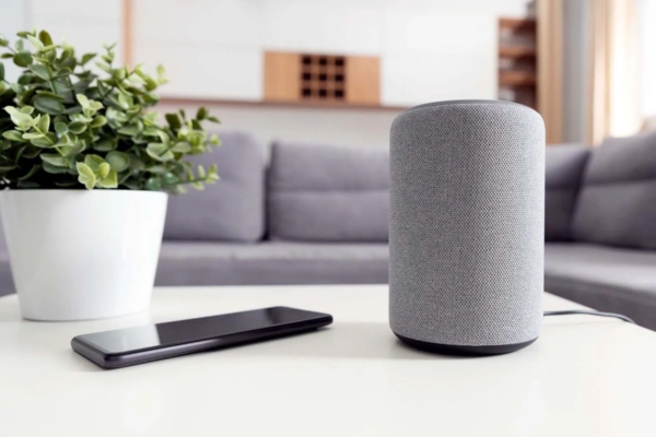 smart speaker